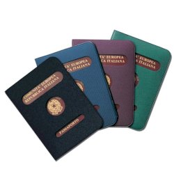 Porta passaporto Alplast rigido  1012