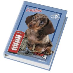 Raccoglitore ad anelli Blasetti - 4 anelli Ø 30 - 26x32 cm per fogli A4 - fantasie assortite Cuccioli - 4170