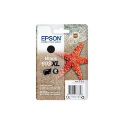 Cartuccia Epson Nero C13T03A14010