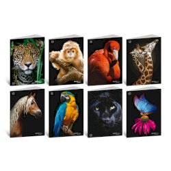 Maxi quaderni Blasetti Animali formato A4  carta 100 g conf. 10 pezzi rigatura 4 mm - 8628