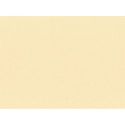 Tovagliette monouso Le Nappage in carta paglia 30x40 cm crema - conf. 500 pz - EYTVT1130