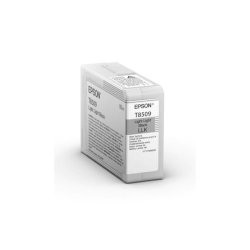 Cartuccia inkjet Epson nero chiaro  C13T850900