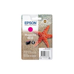 Cartuccia Epson 603 Magenta C13T03U34010